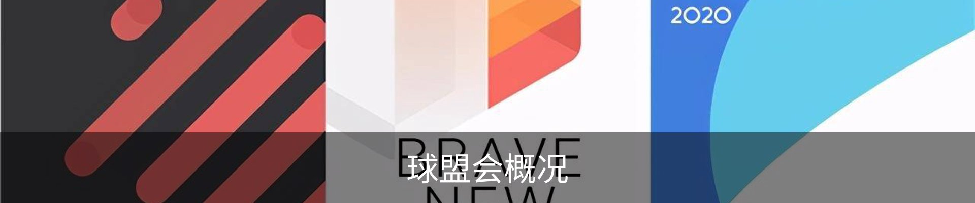 球盟会概况
